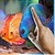 Touch Red Fish Blue Fish LWP free icon