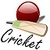 LiveCrickt icon
