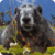 Funny Marmots : Loving Animals app for free