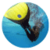 Rules to play Finswimming icon