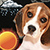 Puppy Weather Clock Widget app for free