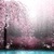 Pink Forest Live Wallpape app for free