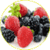 Antioxidant foods rich  app for free