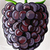 Blackberries Photo Collage icon