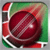 Roulette Cricket icon