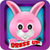 Bunny Dress up - Pet Rabbit Game icon