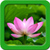 Lotus Live Wallpapers Top icon