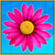 Flower Jumpy Line app for free