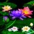 Rainbow Lily Live Wallpaper icon