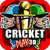 Cricket Play 3D - Live The Game  icon
