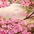 Spring Flowers Wallpaper Pic icon
