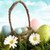 Easter Live icon