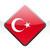 WordPower Lite - Turkish icon