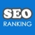SEO Search Ranking icon