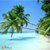 Hawaii Wallpaper HD app for free