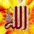 Islamic Calligraphy HD Wallpapers icon