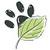 Leaf Animals - Pet Adoption Service icon