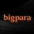 Bigpara icon