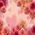 Pink Roses Romantic Live Wallpaper icon