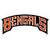 Cincinnati Bengals Fan icon