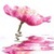 Pink Shine Flower LWP icon