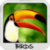 Birds Wallpapers by Nisavac Wallpapers icon
