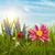 Spring Live Wallpapers Free icon
