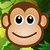 Teddy Kong Escape from the Jungle icon