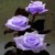 Purple Rose LWP icon