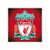Liverpool FC Fan icon