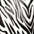 Zebra Print LWP app for free