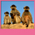 Funny Monkey Live Wallpapers icon