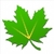 Greenify only icon