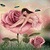 Fairy In Rose LWP icon