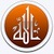 Allahs Miracles in Quran icon