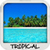 Tropical Wallpapers free icon