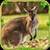 Furious Kangaroo Simulator icon