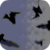 Bird Invasion Live Wallpaper icon