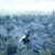 Assassins Creed Unity Walkthrough icon