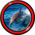 Dolphin Live Wallpapers Best icon