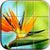 Nature Puzzle Free app for free