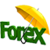 Forex Trading Focust icon