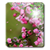 Pink Sakura Flow Bubbles HD icon