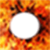 Fire frame  icon