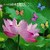 lotus flowers and butterflies afraid app for free
