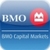 BMO Capital Markets 2010 Digital Entertainment Conference icon