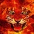 Fire Tiger Live Wallpape icon