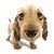 Sniffing Doggy Live Wallpapers icon