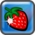 FruitCup icon