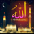Allah wallpapers HD icon